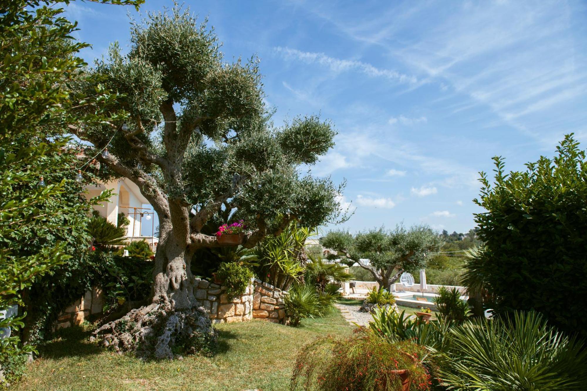 Holiday Home Cosimo 洛科罗通多 外观 照片